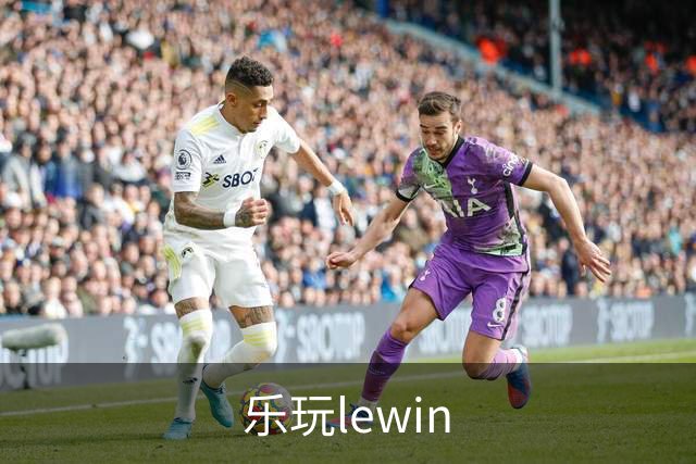 乐玩lewin公司形象图